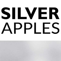 SILVERAPPLES Dr. Christiane Gebhardt Consulting logo - Similar company to Presight4