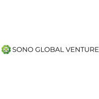 SONO GLOBAL VENTURE logo - Similar company to Sono Global