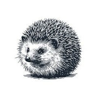 AULA Design Studio logo - Similar company to Abundanism