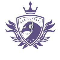 Next Generation Academy Esports logo - Similar company to Next Generation Academy