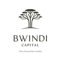 Bwindi Capital logo - Similar company to The Knowledge Trust