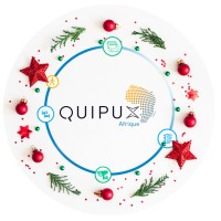 Quipux Afrique logo - Similar company to Sndi - Société Nationale De Développement Informatique