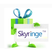 Boluo Shiwan Skyringe Craft Factory