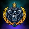Cyber Rakshak Intelligence logo - Similar company to Cyber Marg