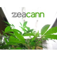 Zeacann
