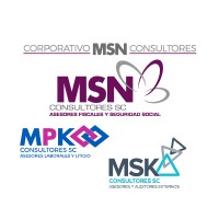 Corporativo MSN Consultores logo - Similar company to Roistom