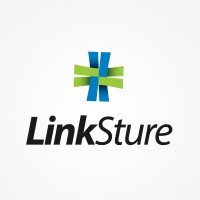 LinkSture Technologies Pvt. Ltd. logo - Similar company to Positiwise Infotech Pvt Ltd
