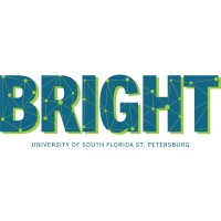The BRIGHT Network logo - Similar company to Guard Against Trafficking