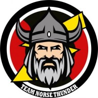Team Norse Thunder logo - Similar company to The Strive Group (Tsg)