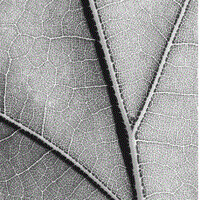 Chemica Technologies, Inc. logo - Similar company to Migoti Coffee