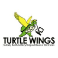 Turtle Wings