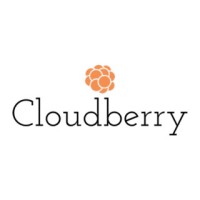 Cloudberry TECH logo - Similar company to Cloudberry Tech Solutions