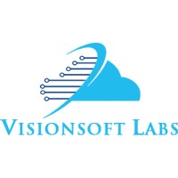 Visionsoft Labs logo - Similar company to Data Containers Consulting