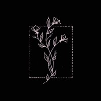 AprilFloral logo - Similar company to Colorbrity Inc