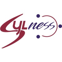 SYLNESS logo - Similar company to Kites Keeper