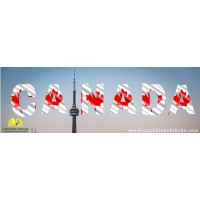RisingSun Travels & Tourism LLC , DUBAI logo - Similar company to Local Performance Seo