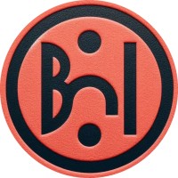 BrightNTech.AI logo - Similar company to Cinco Ai