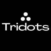 Tridots Ventures Private Limited logo - Similar company to Millenium Electrics