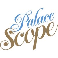 PalaceScope logo - Similar company to Ligue Ndaye Mutumbula