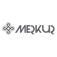 Merkur Consultoria e Participações logo - Similar company to Iss Contábil