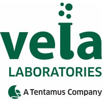 VelaLabs logo - Similar company to Validogen Gmbh