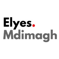 Elyes Mdimagh Consulting