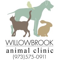 Willowbrook Animal Clinic logo - Similar company to Excel Care