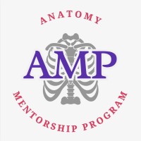 Anatomy Mentorship Program