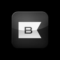 Blink Inc logo - Similar company to Datastreams - Trust By Design