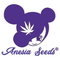 Anesia Seeds logo - Similar company to Amnesia
