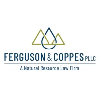 Ferguson Law Office Pllc