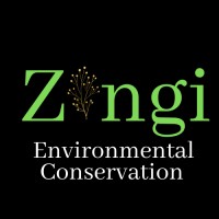 Zingi Environmental Conservation logo - Similar company to Environmental Conservation