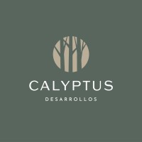 Calyptus Desarrollos logo - Similar company to Serviam S.A.