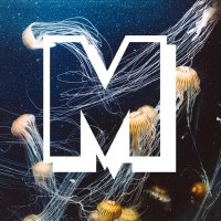 Mithila Review logo - Similar company to Peach Mag