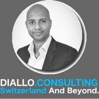 Diallo.Consulting logo - Similar company to The Diallo Group