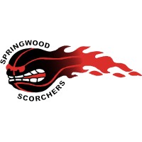 Springwood & Districts Basketball Association logo - Similar company to Swish Central