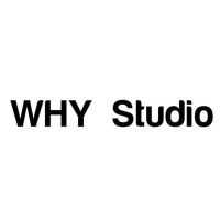 WHY Studio logo - Similar company to Why Studio
