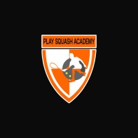 Play Squash Academy logo - Similar company to Infinite Therapy Solutions