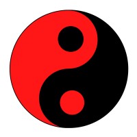 NICE IAS ACADEMY logo - Similar company to Snoodify Hive