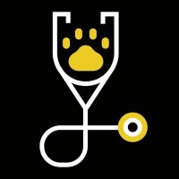 Veterinary Articles