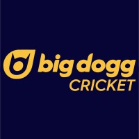 Big Dogg Cricket logo - Similar company to Clearxel