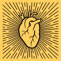 Z'SERCA STUDIO logo - Similar company to Rubber Croc