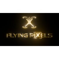 Flying Pixels Pvt. Ltd. logo - Similar company to Flying Pixels