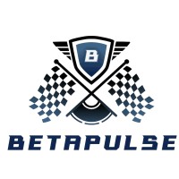 BetaPulse New Energy Technology Co., Ltd. logo - Similar company to Datanova Cloud Services Inc