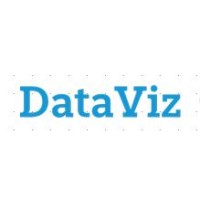 DataViz Consulting Services logo - Similar company to Dataviz