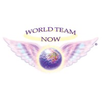 World Team Now logo - Similar company to Bhs Security Ltd. - Executive Protection