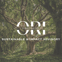 ORI Partners Ltd logo - Similar company to Inavya Ventures Ltd.