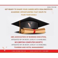 Vega IT & Management Solutions logo - Similar company to Vega It Solutions