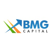 BMG Capital logo - Similar company to Bmg Capital Llc