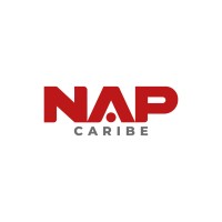 NAP Caribe logo - Similar company to Monde.Biz